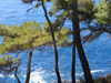 Sea landscape in Liguria